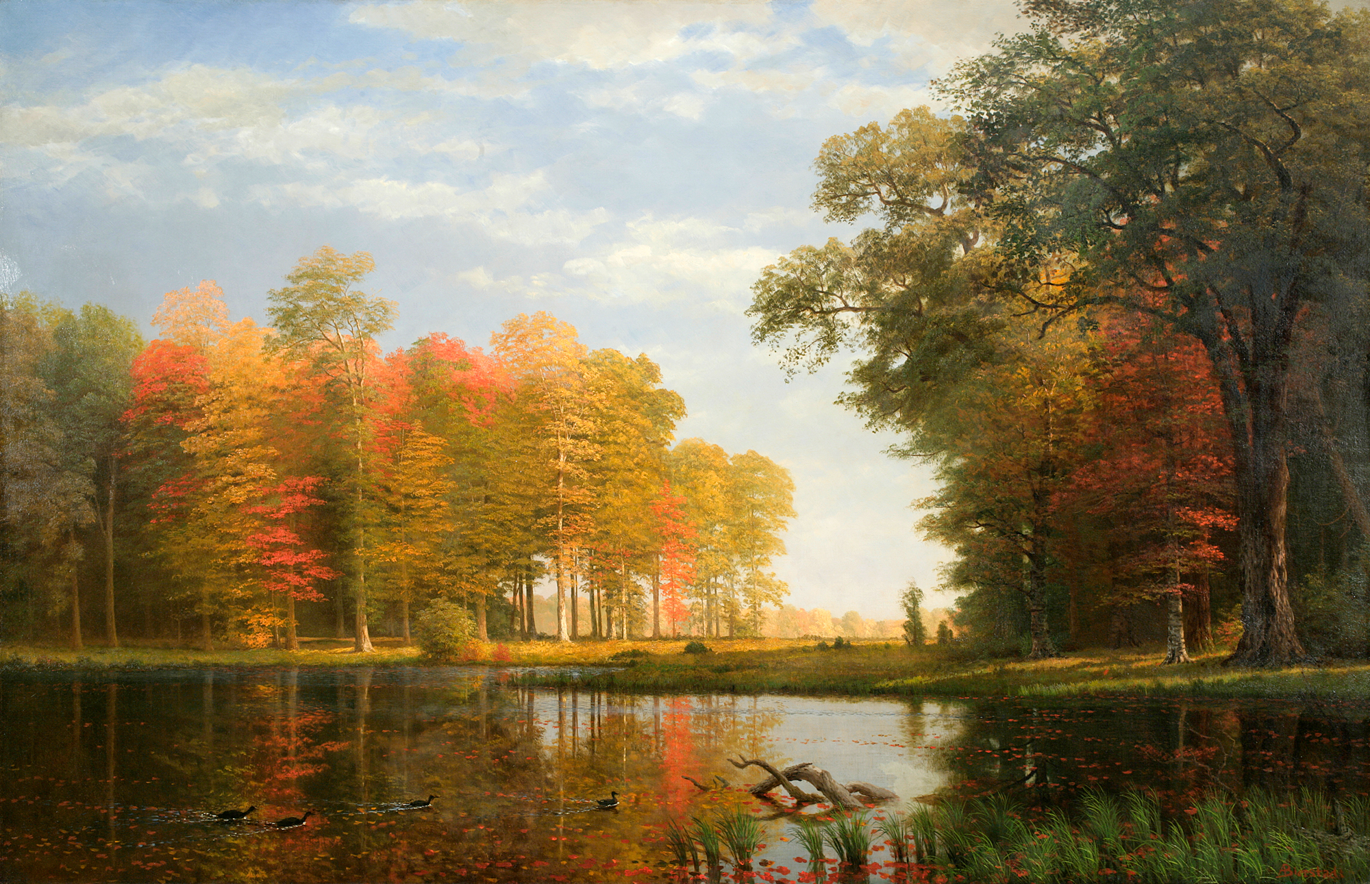 Albert Bierstadt (1830–1902), Autumn Woods, Oneida County, State of New York, ca. 1886 . Oil on linen. New-York Historical Society, gift of Mrs. Albert Bierstadt, 1910.11